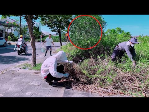 The neighbors asked us not to trim the tree branches that covered the sidewalk