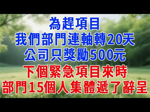 為趕項目，我們部門連軸轉20天，公司只獎勵500元，我沒鬧，下個緊急項目來時，部門15個人集體遞了辭呈！#人生感悟 #故事分享 #故事頻道 #打脸 #生活經驗 #原创视频