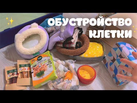 ОБУСТРАИВАЮ КЛЕТКУ НОВЫМИ ВЕЩАМИ ДЛЯ КРЫС☺️ *реакция крыс*