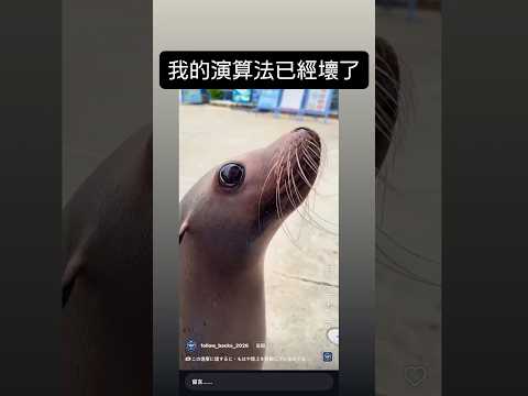 我是不是拍太多地獄梗的題材了⋯