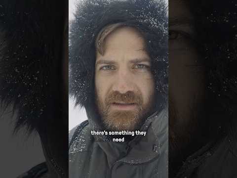 Why everyone wants Greenland