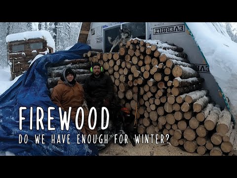 Firewood - Making sure we have enough to last through winter