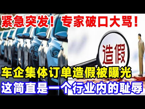 紧急突发！专家破口大骂！车企集体订单造假被曝光，这简直是一个行业内的耻辱#比亚迪 #特斯拉 #汽車俱樂部