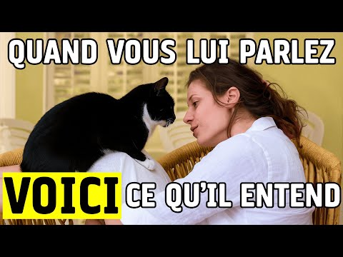 Quand vous lui parlez, voici ce qu'il entend