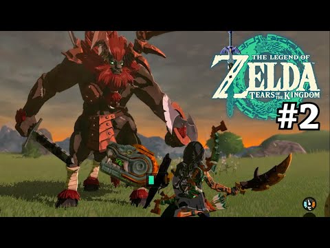 Going Places I Shouldn't Be Yet in Zelda: Tears of the Kingdom - Day 2