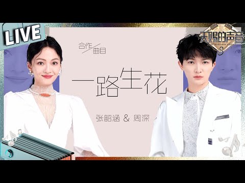 【独家live版】张韶涵周深王炸组合唱神曲《一路生花》再听亿遍！ #天赐的声音3 EP12
