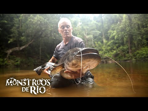 El Monstruo del Lago Kenyir: Un Viejo Adversario | T9 E04 | Monstruos de Río