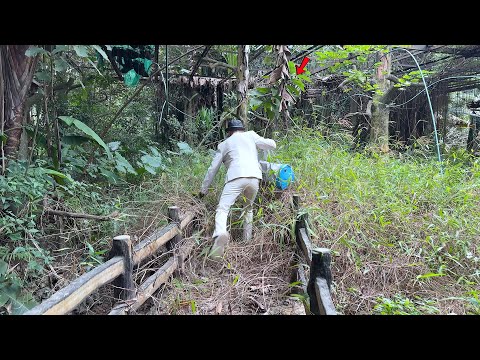 A Successful Man Was SHOCKED Returning to His $2 Million Old Restaurant