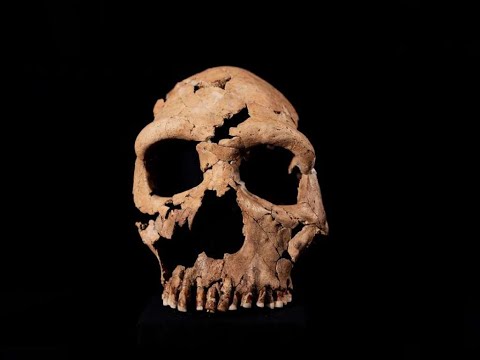 Origin Stories Podcast: The Shanidar Cave Neanderthals AUDIO ONLY