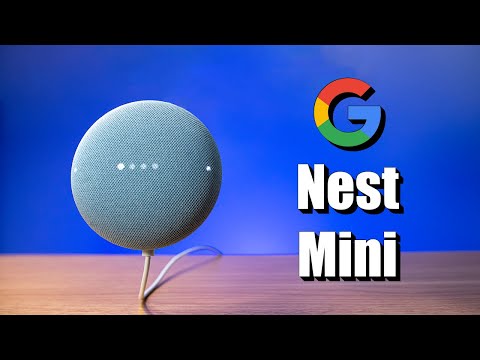 Setting Up the Google Nest Mini, New Features & World Wide Duo Calls
