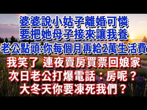 婆婆說小姑子離婚可憐，要把她母子接來讓我養，老公馬上答應:你每個月再給2萬生活費。我笑了，連夜賣房買票回娘家，次日老公打爆電話：房呢？大冬天你要凍死我們？#小魚故事會#為人處世#人生感悟#中老年生活