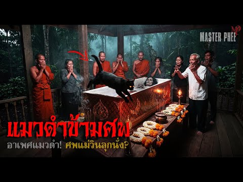 แมวดำข้ามศพ | เรื่องเล่าสยองขวัญ! แมวดำข้ามโลง ผีตายทั้งกลมเฮี้ยนแรงมาก