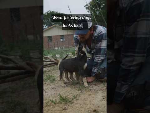 Just a glimpse of our life. Fostering puppies. #rescue