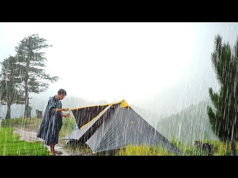 RELAXING CAMPING IN HEAVY RAIN AND THUNDER⛈️ enjoying the rain in the forest 🏕