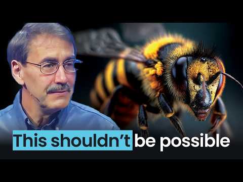 The Incredible Design of Honeybees: Proof of a Brilliant Creator