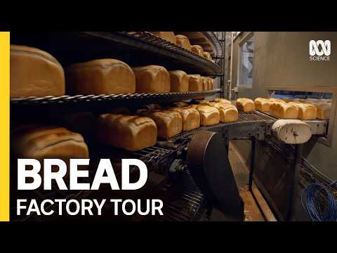 This Australian Factory Bakes 100,000 Bread Loaves Daily