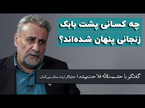 حشمت‌الله فلاحت‌پیشه: چه کسانی پشت بابک زنجانی پنهان شده‌اند؟