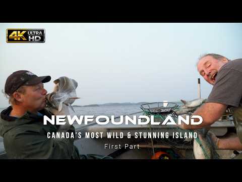 Newfoundland: Canadas Most Wild & Stunning Island - First Part *  Discover Canada series