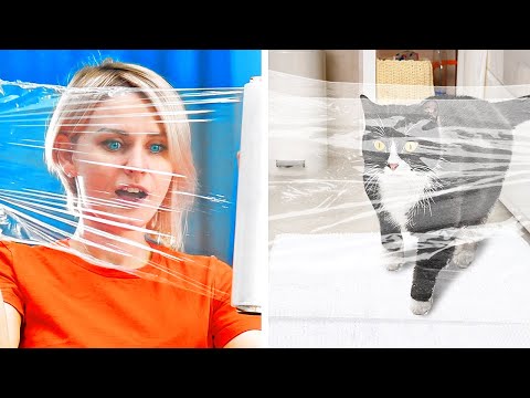 반려동물을 위한 30가지 영리하고 웃긴 아이디어