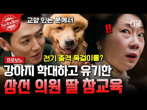 [#프로보노] 강아지 학대한 걸로도 모자라 유기까지?!😡 삼선 의원 딸 참교육 들어가는 정경호🔥