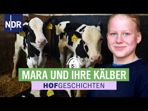 Kälber scheren für mehr Gesundheit | Hofgeschichten: Leben auf dem Land (331) | NDR