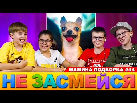 Думаешь ты сможешь НЕ СМЕЯТЬСЯ? 😆 ➢ НЕ ЗАСМЕЙСЯ ЧЕЛЛЕНДЖ или МАМИНА ПОДБОРКА #44