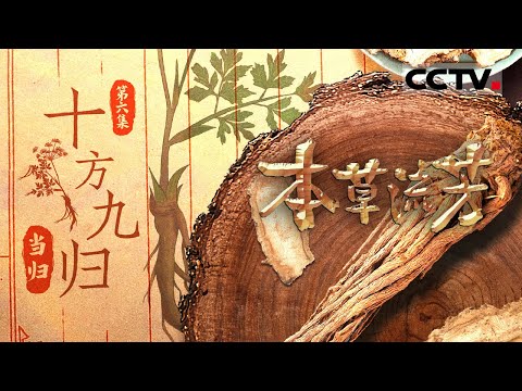 《本草流芳》06 十方九归：香菜的近亲 调味界的医疗明星 当归将开启一场高原大冒险！【CCTV纪录】