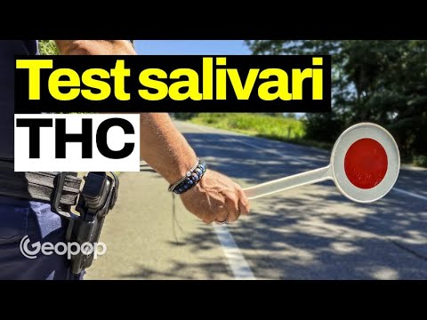 Ci sono problemi con i pretest salivari del Codice della Strada: quanto dura il THC nella saliva