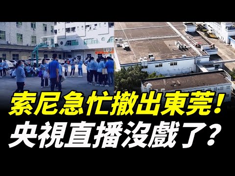 扎根廣東惠州29年的索尼急速撤離出國！超過3萬人瞬間失業，央視直播沒戲了？
