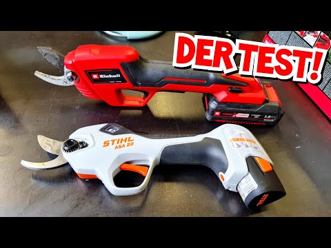 HUGE DIFFERENCE IN PRICE AND PERFORMANCE! | Pruning Shears TEST | Einhell vs. Stihl | Mr. Moto