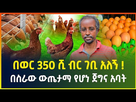 በወር 350 ሺ ብር ገቢ አለኝ ! በስራው ውጤታማ የሆነ ጀግና አባት | በጥንቃቄ የሚሰራ አዋጭ ስራ | Chicken farming | business |Gebeya