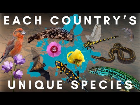 Only Found Here - Endemic Species of Europe