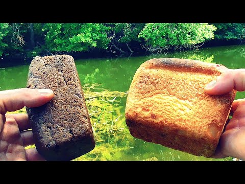 Белый (пшеничный) или Черный (ржаной) Хлеб? Реакция рыбы! Подводная съемка