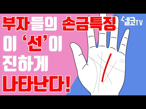 내 손금에 이 것? 있으면 이번 생은 축복입니다~. (탐나는 풍수 접시도사)