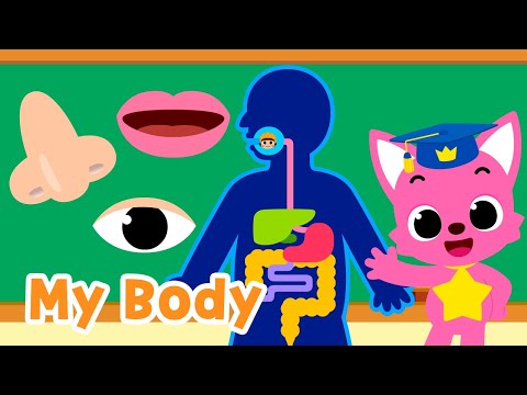 Body Parts Songs for Kids | Five Senses, Brain, and more! | 15-Minute Learning with Baby Shark
