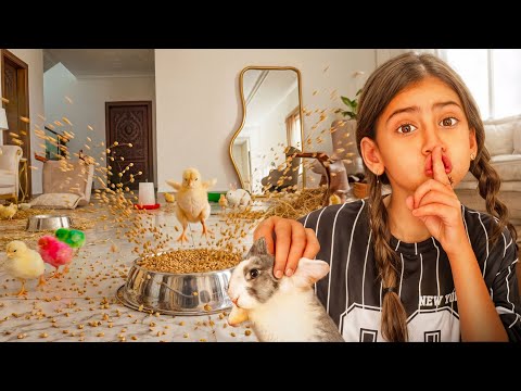 I turned the house into a rabbit and bird farm 🐇🐥 I ruined the house 😱 Dad's in trouble 😭💔
