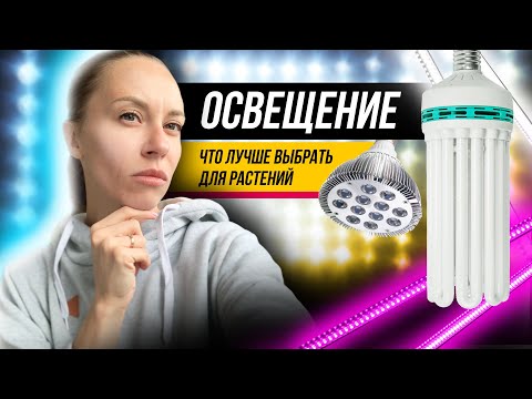 Освещение для цитрусов и растений зимой | мощность световая температура и др параметры разных ламп
