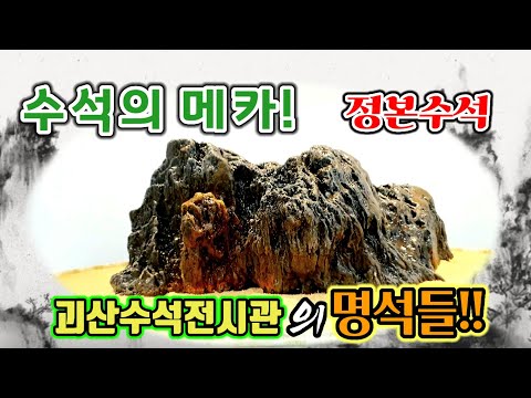140.#수석의메카괴산수석전시관의명석들#전시석감상#정본수석#수석탐석#수석#탐석#suiseki#수석감상#수석취미#차박탐석#성불산