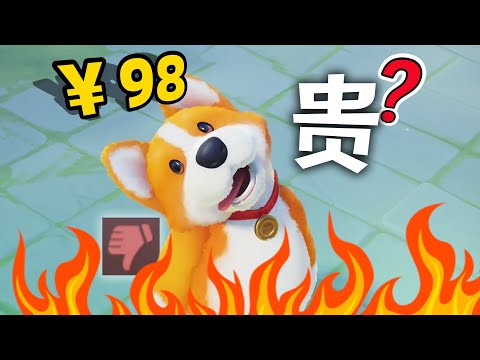 游戏卖得贵，为什么会被骂？｜小宁子