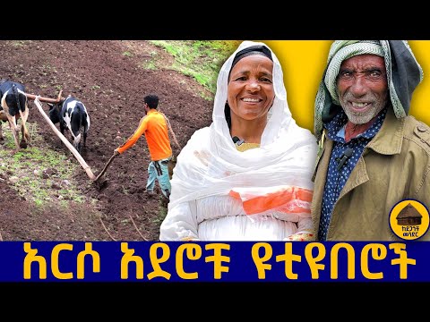 🟠 የመጀመሪያዎቹ አርሶ አደር ዩቲዩበሮች የገጠር ህይወት! @kedegagochumender #የገጠር   #rural