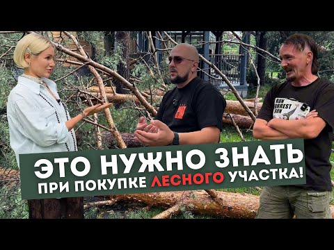 Лесной участок! Как правильно выбрать? И что делать после приобретения? Советы экспертов