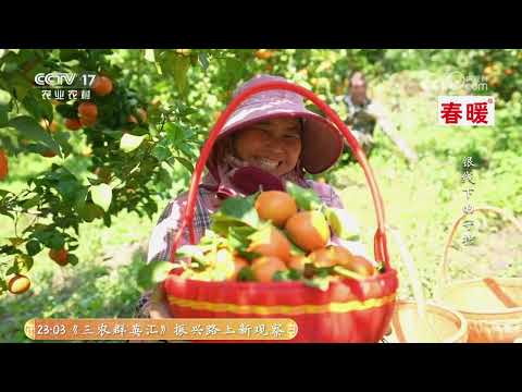 《田园帮帮团》 20251215 银线下的守护——耕耘希望 | 农业致富经 Agriculture And Farming