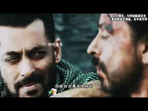 大国谋略（二十）：跳梁小丑#种花家#兔子#阳谋#抹了脚盆鸡