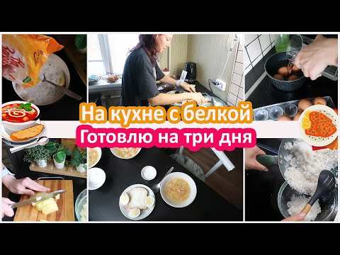 Economical menu. I cook for 3 days. In the kitchen with a squirrel