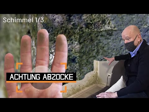 HORROR-Befall: Ganze Wohnung ist verschimmelt! Falsch gelüftet?! | 1/3 | Achtung Abzocke Kabel Eins