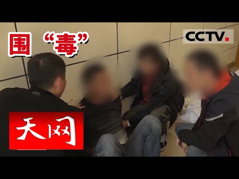 《天网》贩毒运毒又洗钱？重庆警方“一锅端”！20220318 | CCTV社会与法