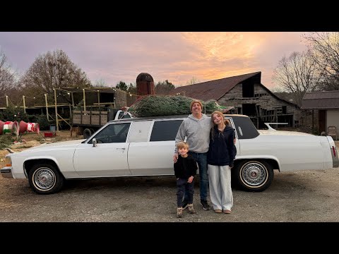 We Got Our Tree - Biffle Style!
