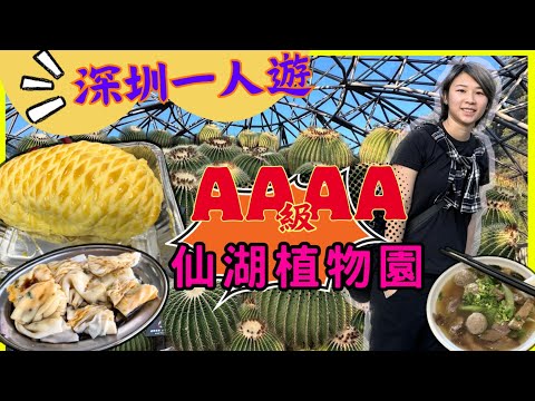 深圳一日遊 快閃一人遊 ｜ 蓮塘口岸2個站 蓮塘站｜朗記腸粉 深圳仙湖植物園  粵湛雞飯店菠蘿雞 2023深圳好去處【星星帶團】
