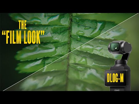 How I EASILY Color Grade DJI OSMO Pocket 3 Footage (D-LOG)