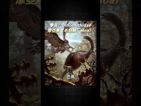 暴漲15倍的「小鷹」股？